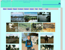Tablet Screenshot of galeria.ciche.pl