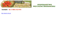 Tablet Screenshot of dzialki.ciche.pl