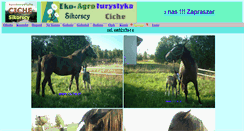 Desktop Screenshot of konie.ciche.pl