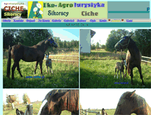 Tablet Screenshot of konie.ciche.pl